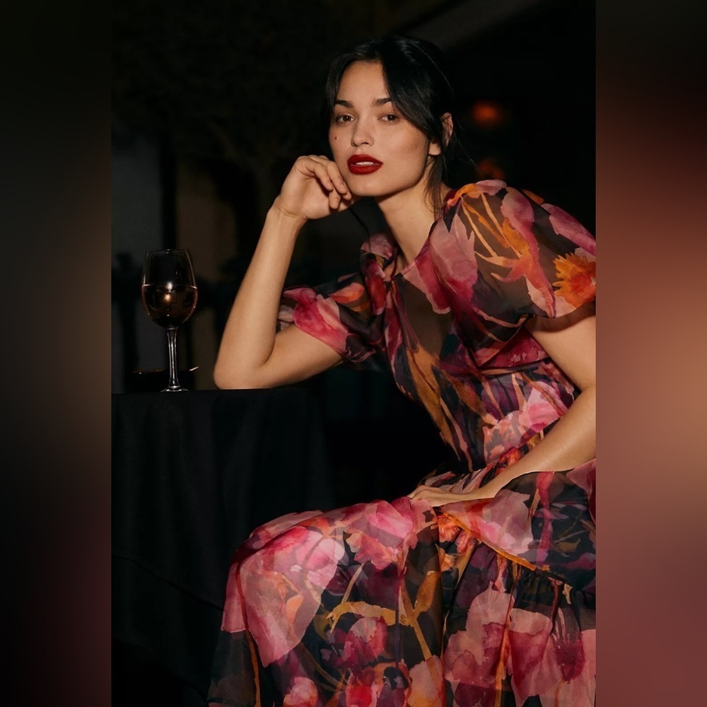 NWT Anthropologie Puff-Sleeve Organza MIDI Dress Size Medium Petite